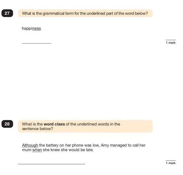 2024年英国小学毕业统考英语语法试卷解析