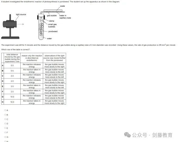 ESAT首年笔试细则公布后，该如何合理安排暑假时间，才能更有针对性地备战？