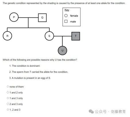 ESAT首年笔试细则公布后，该如何合理安排暑假时间，才能更有针对性地备战？