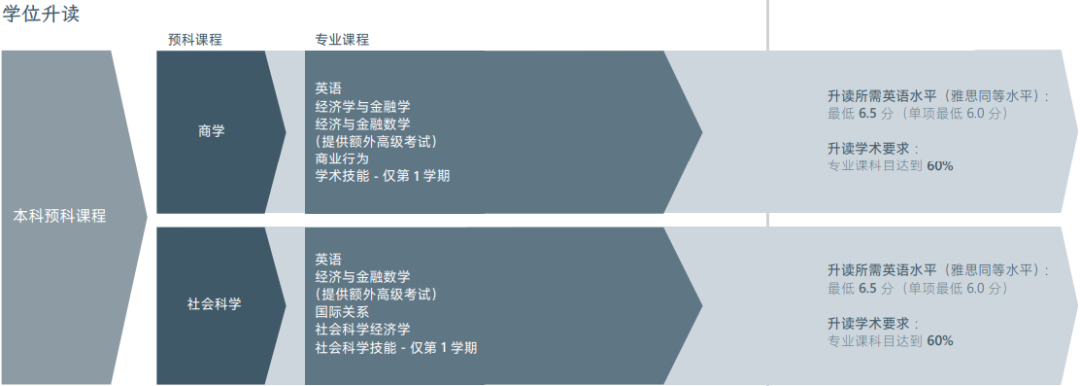 荷兰留学 | 本科预科课程