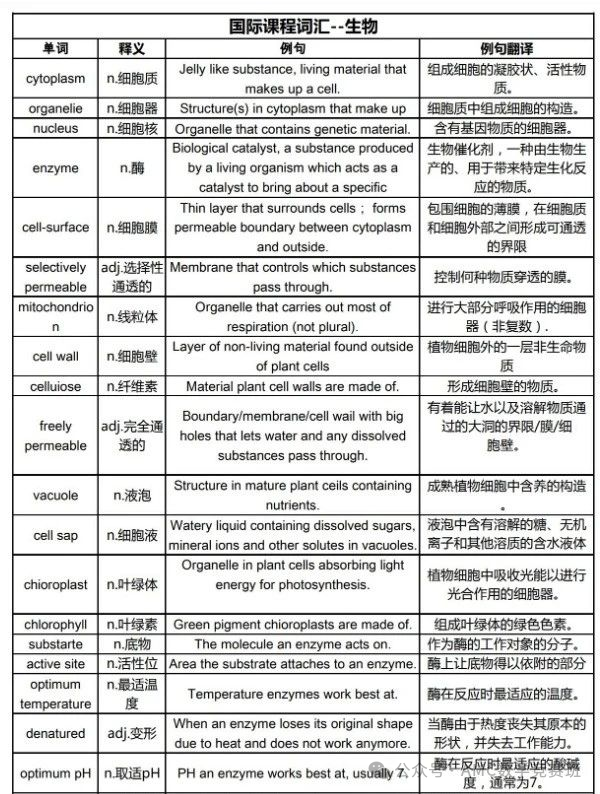 igcse课程有哪些科目？应该如何选课？5门主要课程一文介绍清楚！