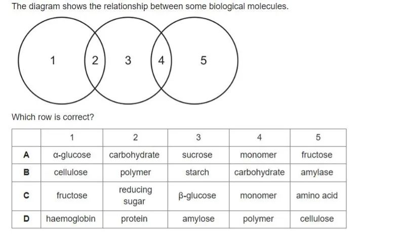 真题解析 | 9700 Biology AS生物选择题常见错误选项类型分析