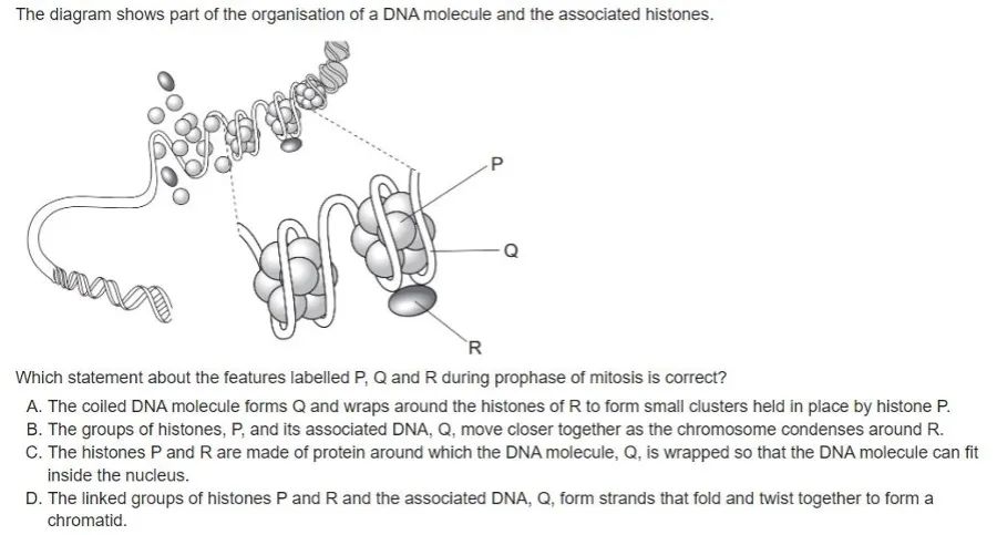 真题解析 | 9700 Biology AS生物选择题常见错误选项类型分析