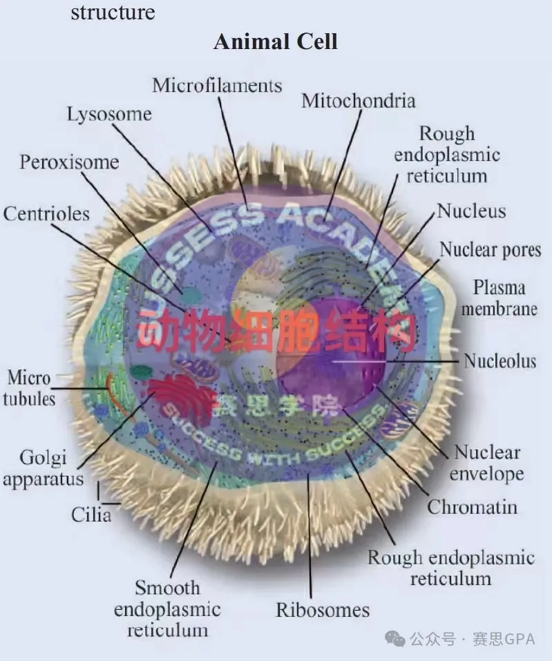 IGCSE生物：选课时有多吃香，考试时就有多崩溃!