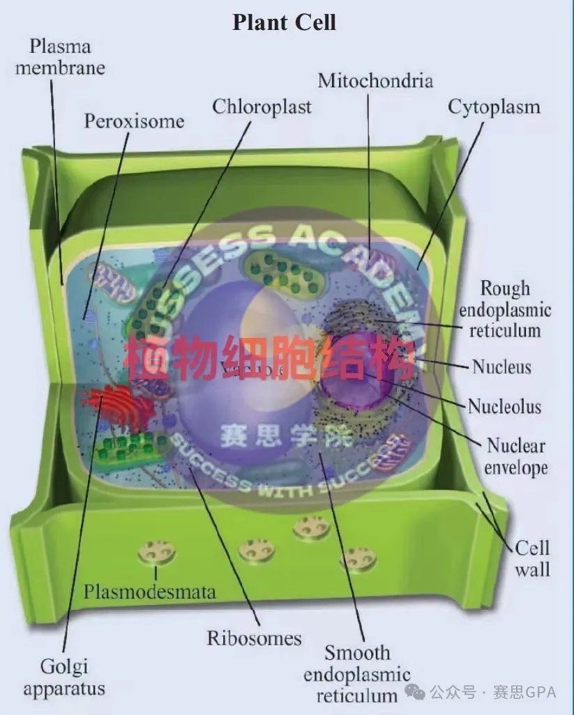 IGCSE生物：选课时有多吃香，考试时就有多崩溃!