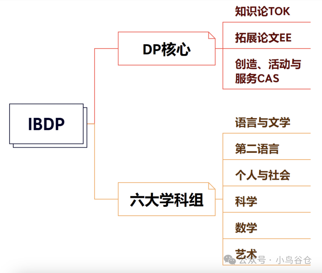 初高中何时选择国际学校？AP、IB、A-Level，三大国际课程怎么选？