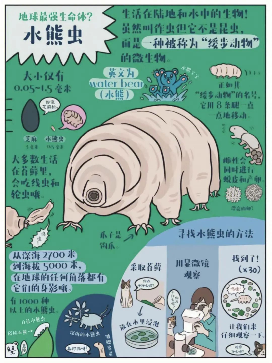 集思竞赛 | 尊重生物多样性，IBO带你探秘远古神兽