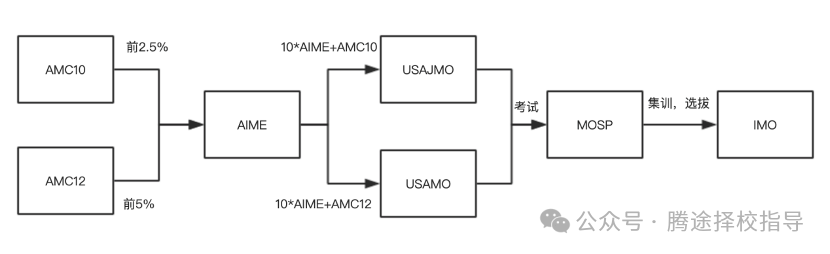 最全攻略 | AMC8竞赛vsAMC10竞赛，你更适合参加哪个？（附备考规划）