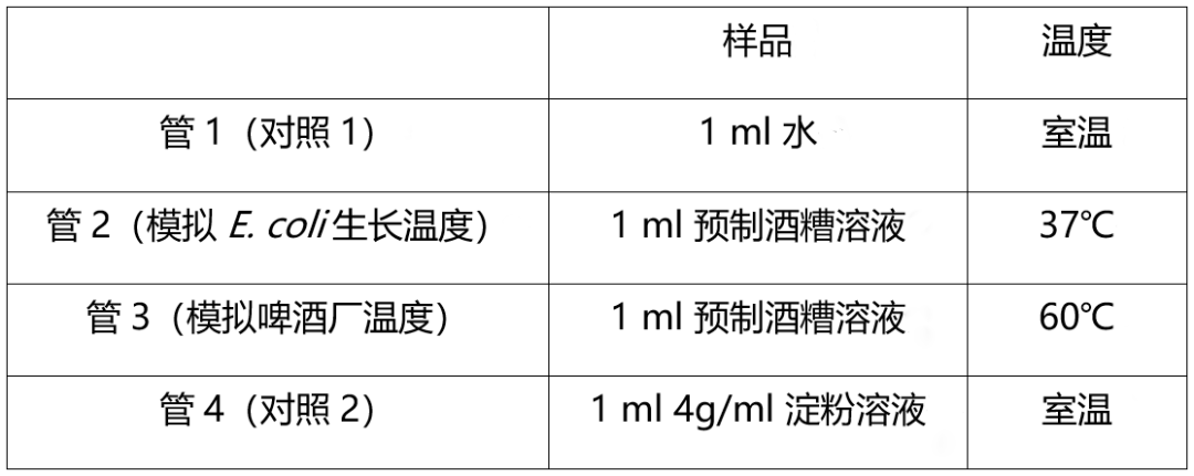 StarchLight——法国Ionis教育集团2022年iGEM项目