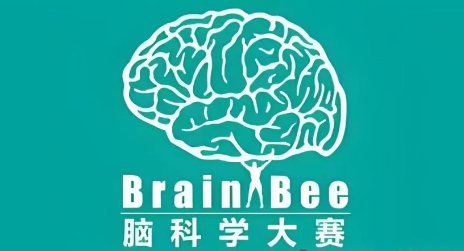 生物竞赛盘点！BBO/USABO/BrainBee/HOSA到底参加哪一个呢？