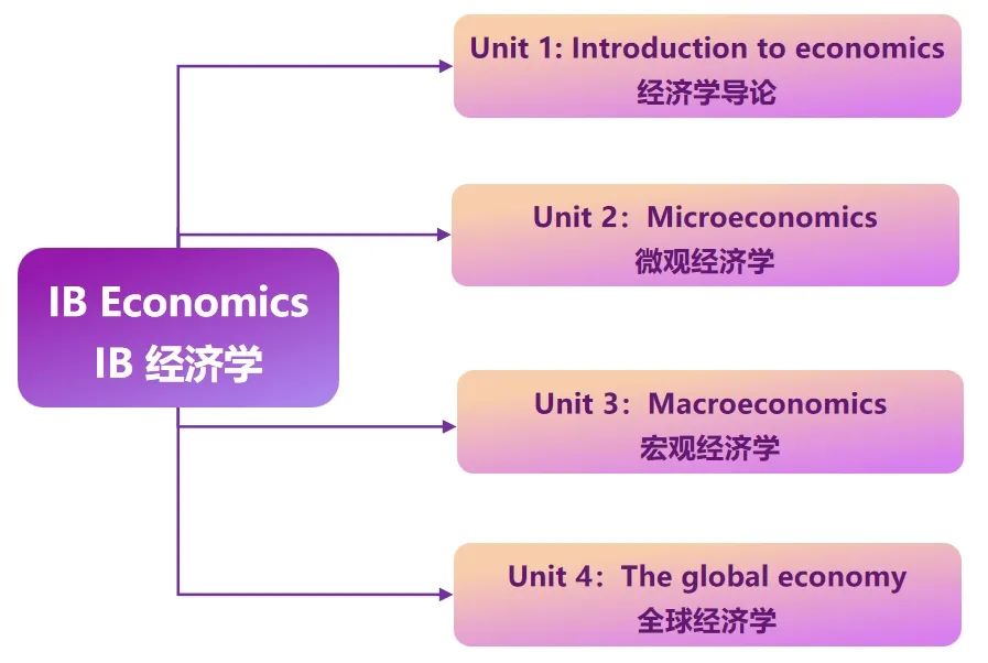 目标定位商科，IG过渡到IB要注意什么？这份经济&商管重点请拿好！