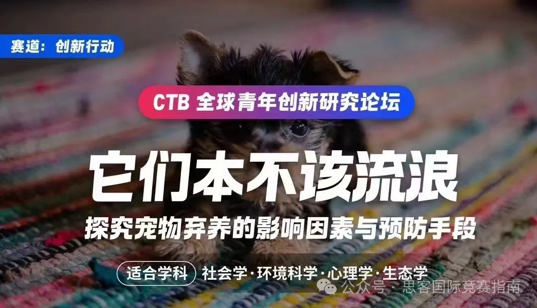 CTB竞赛2024年竞赛规则、竞赛内容一文详解！帮助参赛学生组队！点击收藏！