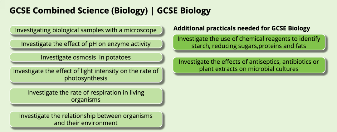 英国读中学该选择多少门GCSE？什么时候选择GCSE科目？