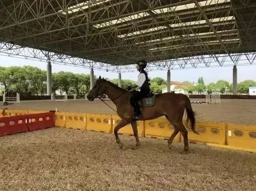 从奥运看教育！盘点上海国际学校的特色体育项目！