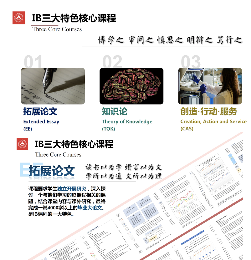 北京公立国际部IB名校分析