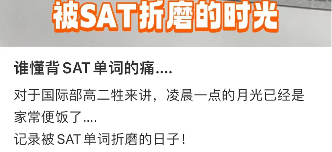 量太多、记不住、不会用，单词如何成了英语学习的一生之敌？