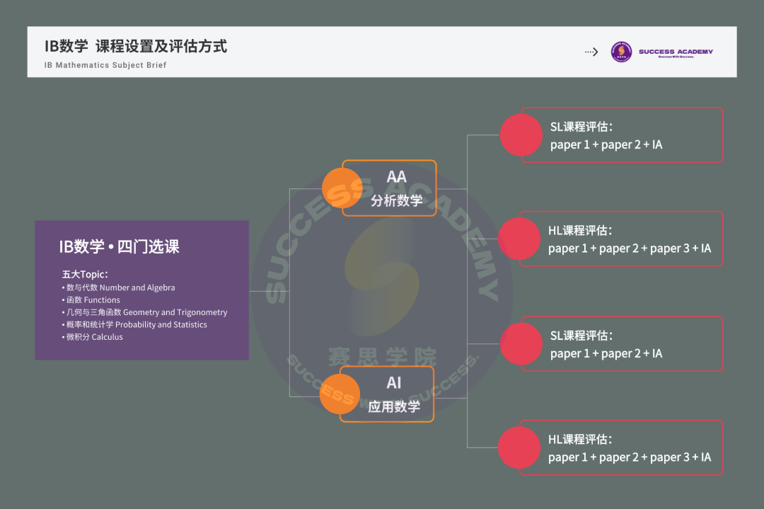 IB数学AA&AI | 三张paper四门选课五大topic，必考考点都是怎么分布的？