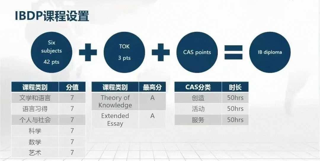 IB新生不知道怎么选课？看这一篇就够了~