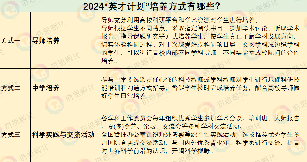 “2025英才计划”备赛全攻略：这些信息，你必须提前了解！