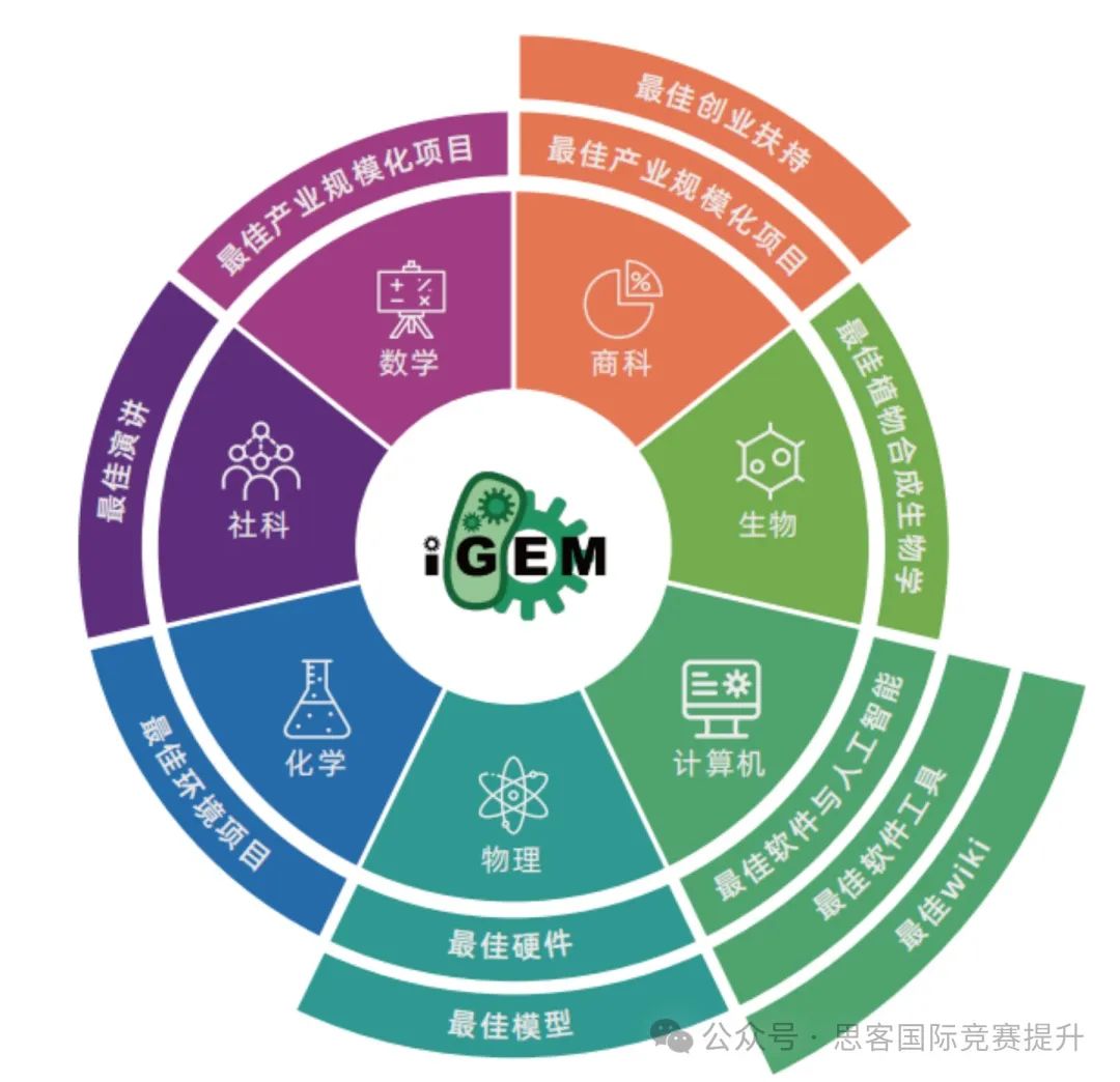 iGEM为什么被称为全科皆可参与的万金油竞赛？如何高效备赛iGEM？