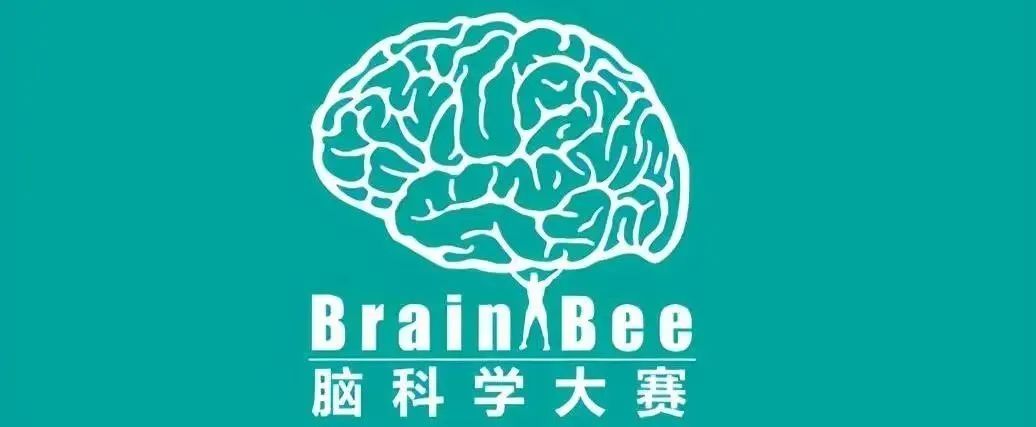 零基础可参加的Brainbee竞赛含金量高吗？Brainbee竞赛报名方式及培训介绍