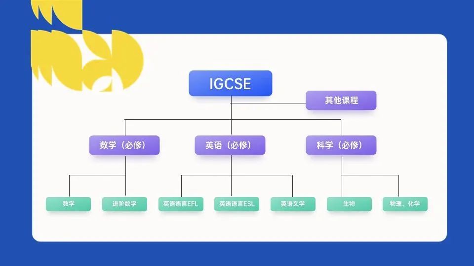 IGCSE新手小白必看第一课：IGCSE课程介绍/选课建议/备考辅导安排~