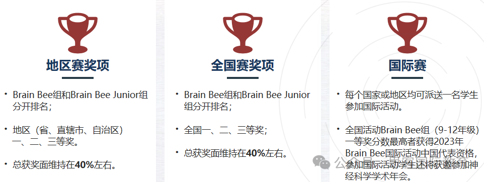 BrainBee脑科学大赛发展历史全解！2025 BrainBee报名方式/报名时间/考试时间/培训班！